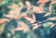 寶璣航海繫列再添巔峰之作超卓復(fù)雜功能腕錶