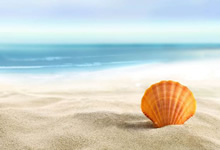 梵克雅寶耳釘斷了維修價(jià)格